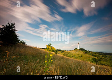 bewegte Wolken über der Leuchtturm Dornbusch auf Hiddensee am Morgen, Langzeitbelichtung, Deutschland, Mecklenburg-Vorpommern, Hiddensee Stockfoto