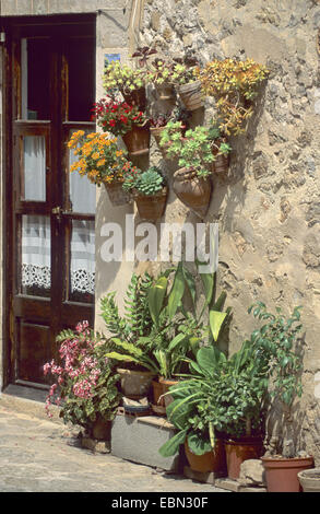 Balkonpflanzen in Verkleidung, Balearen, Mallorca, Valldemossa Stockfoto