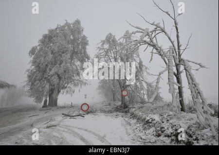 Ein Blick auf die geschlossene Straße von Drahaner, Niva in Prostejov Region, etwa 250 km südöstlich von Prag. Die Straße war wegen gefährlichen umstürzende Bäume und Äste fallenden schweren Eis im Drahaner, Tschechische Republik am 3. Dezember 2014 geschlossen. (CTK Foto/Ludek Perina) Stockfoto