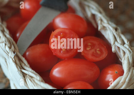 Cherry-Tomate (Lycopersicon Esculentum var. Cerasiforme), Cherry Tomaten liegen in einem Korb mit einem Küchenmesser Stockfoto