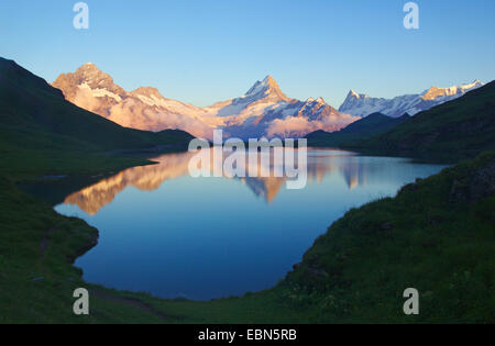 Wetterhorn, Schreck- und Finsteraarhorn im Abendlicht, Spiegelung auf See Bach in der Nähe von Grindelwald, Schweiz Stockfoto