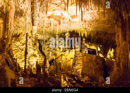 Mammut-Höhle mit Stalaktiten und Stalagmiten, Australia, Western Australia, Mammoth Cave Stockfoto