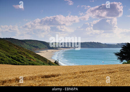 Grainfield an der Küste, Frankreich, Bretagne, Erquy Stockfoto