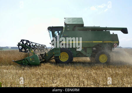 Mais-Erntemaschine auf einem Maisfeld, Frankreich, Bretagne, Erquy Stockfoto