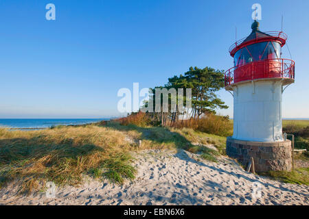 Küste Landschaft mit Leuchtturm am Gellen in der Nähe von Neuendorf, Deutschland, Mecklenburg-Vorpommern, Hiddensee Stockfoto