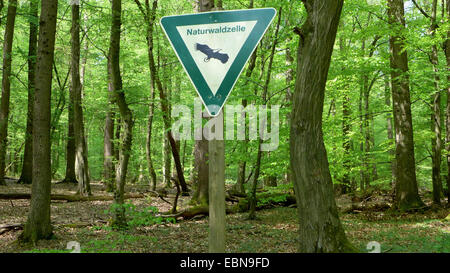Natur Wald reservieren Sie Zeichen, Weg Wald, Sauerland, Nordrhein-Westfalen, Deutschland Stockfoto