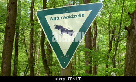 Natur Wald reservieren Sie Zeichen, Weg Wald, Sauerland, Nordrhein-Westfalen, Deutschland Stockfoto