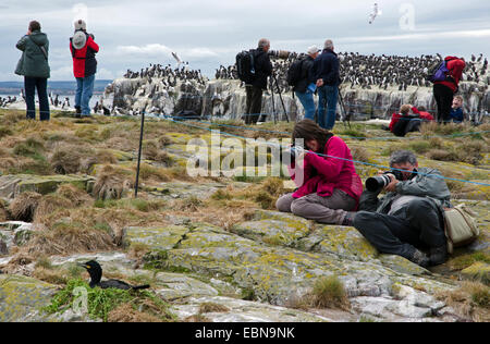 Fotografen auf Grundnahrungsmittel Insel Farne Inseln fotografieren Shag Nest Seevögel Nordsee Northumberland, Großbritannien, England, Northumberland Stockfoto