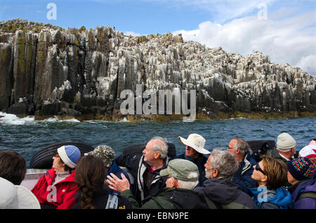 Vogelbeobachter Touristen Besucher Segeln vorbei an Farne Inseln Seevogel Klippen Nordsee Northumberland, United Kingdom, England, Northumberland Stockfoto