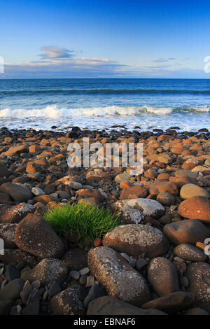 steinige Küste in Northumberland, United Kingdom, England, Northumberland Stockfoto