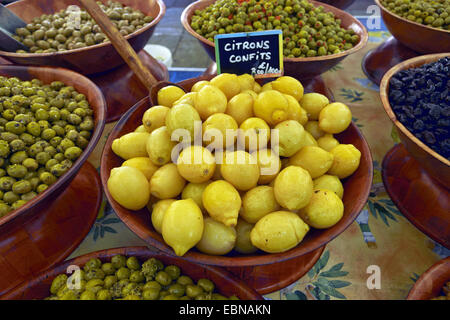 Zitrone (Citrus Limon), stehen gezuckerte Zitronen auf einem Markt in Ajaccio, Frankreich, Korsika Stockfoto