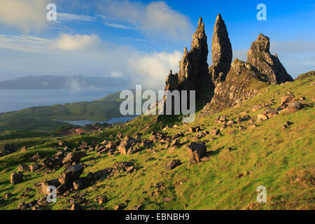 Old Man of Storr, Großbritannien, Isle Of Skye, Sutherland, Schottland Stockfoto