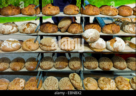 frisch gebackenes Brot in der Nähe von gezüchteten Beaking Haus, Deutschland, Mecklenburg-Vorpommern, Klockenhagen Stockfoto