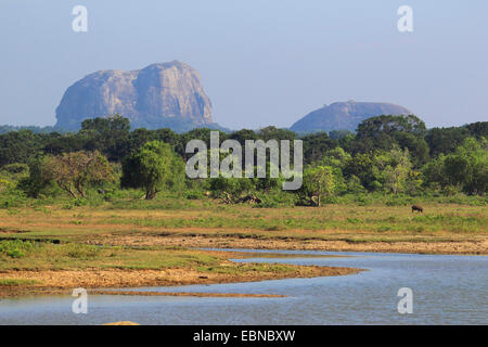 Elephant Rock im Yala Nationalpark in Sri Lanka Yala National Park Stockfoto