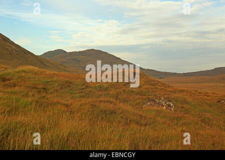 grasbedeckte Bergkulisse, Großbritannien, Schottland, Isle of Rum Stockfoto