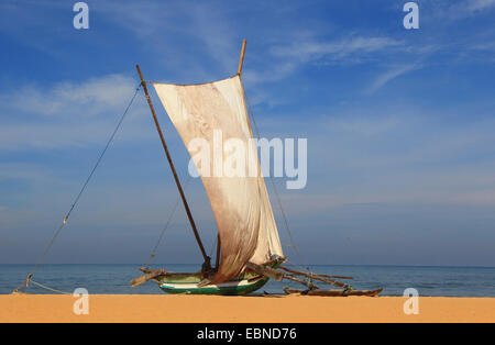 Auslegerboot mit Segel setzen auf den Strand von Negombo, Sri Lanka Stockfoto