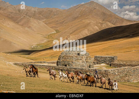 inländische Pferd (Equus Przewalskii F. Caballus), Herde von Pferden vor Karawanserei Tasch-Rabat an der alten Silk Road, Kirgisistan, Naryn, Tash Rabat Stockfoto