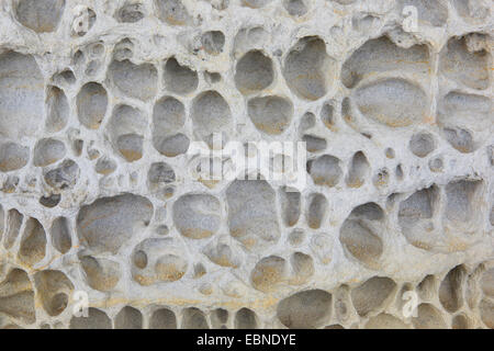 Salzverwitterung von Sandstein, Großbritannien, Schottland Stockfoto