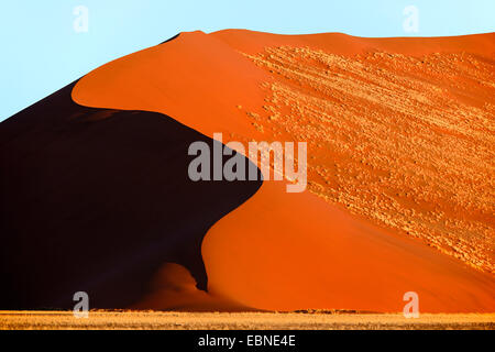 riesigen Sanddünen im Abendlicht, Namibia, Namib-Naukluft-Nationalpark, Sossusvlei Stockfoto