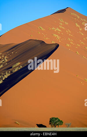 riesigen Sanddünen im Abendlicht, Namibia, Namib-Naukluft-Nationalpark, Sossusvlei Stockfoto