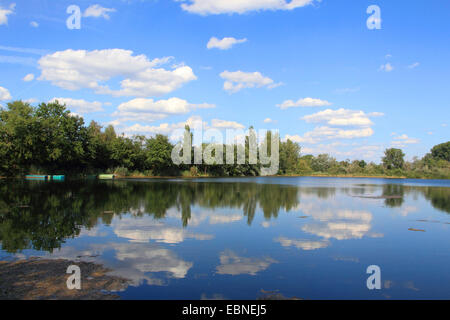 Oxbow See Altrhein im Sommer, Deutschland Stockfoto