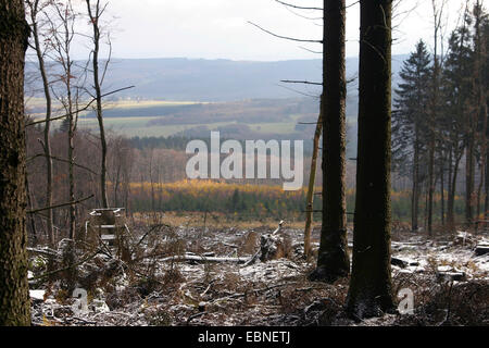 Hochsitz im Gang am Hang, Deutschland, Rheinland-Pfalz Stockfoto