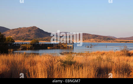 verstecken Sie in Mankwe See im Abend, Südafrika, Pilanesberg National Park Stockfoto