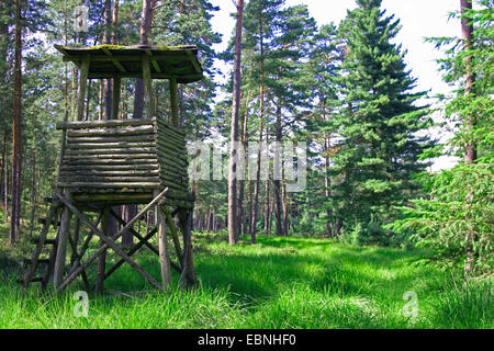 Hochsitz auf Lichtung, Deutschland, Niedersachsen Stockfoto