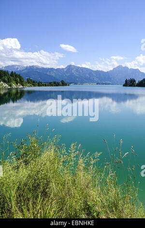 Blick auf den Forggensee im östlichen Allgäu, Deutschland, Bayern, Swabia Stockfoto