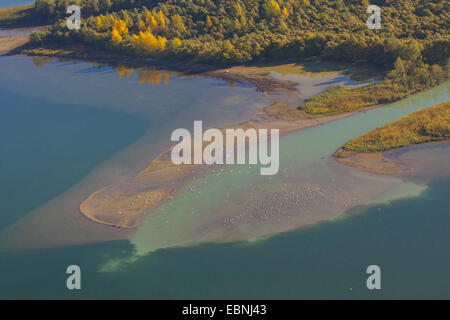 Chiemsee und Tiroler Achensee Flussdelta, Hirschau Bucht, See Chiemsee, Bayern, Deutschland Stockfoto