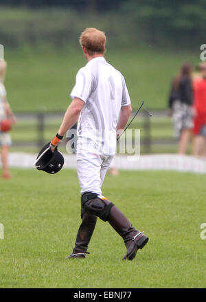 Prinz Harry und Prinz William spielen Polo Audi Herausforderung Featuring: Prinz Harry Where: Ascot, Großbritannien: 31. Mai 2014 Stockfoto