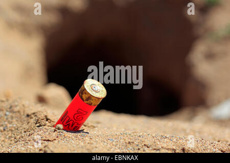 Europäischen Kaninchen (Oryctolagus Cuniculus), Bullet Gehäuse vor Kaninchen Burrow, Spanien, Andalusien, Sierra Morena Stockfoto