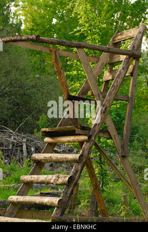 Ansitz auf einer Lichtung, Deutschland Stockfoto