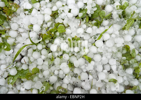 Hagel auf den Boden, Österreich, Tirol Stockfoto