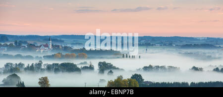 Wald und Wiesen im Morgennebel, atmosphärischen Inversion, Deutschland, Bayern, Isental, Dorfen Stockfoto