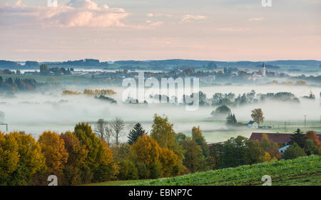 Wald und Wiesen im Morgennebel, Deutschland, Bayern, Isental, Dorfen Stockfoto