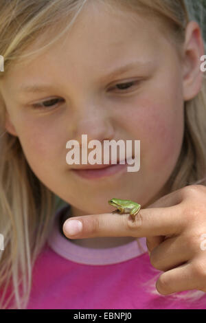 Europäische Treefrog, gemeinsame Treefrog, zentralen europäischen Treefrog (Hyla Arborea), kleine Mädchen mit Jugendlichen auf einen Finger, Deutschland Stockfoto