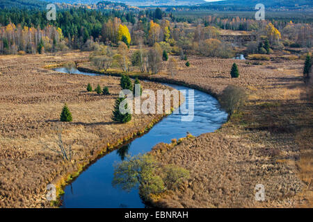 Luftbild, Warme Moldau schlängelt sich durch herbstliche angehoben Moor, Tschechische Republik, Sumava Nationalpark Stockfoto