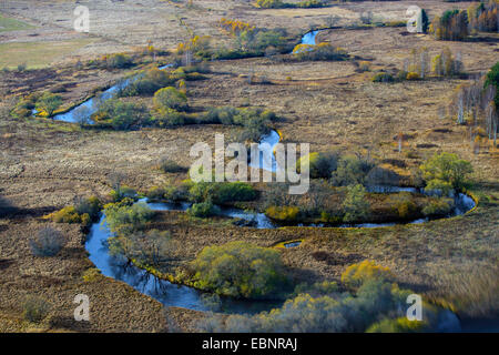 Luftbild, Warme Moldau schlängelt sich durch herbstliche angehoben Moor, Tschechische Republik, Sumava Nationalpark Stockfoto