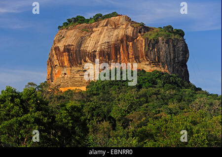 Lion es Rock Sigiriya, Sri Lanka Stockfoto