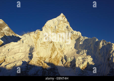 Nuptse im Abendlicht. Aussicht vom Kala Patthar, Nepal, Himalaya, Khumbu Himal Stockfoto