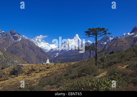 Lhotse und Ama Dablam, vor ihnen Sir-Edmund-Hillary-Stupa über Khumjung, Nepal, Himalaya, Khumbu Himal Stockfoto