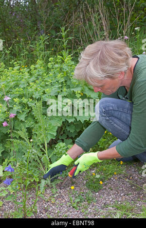 Frau Jäten im Garten, Deutschland Stockfoto