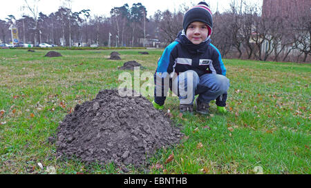 Europäischer Maulwurf, gemeinsame Maulwurf, nördlichen Maulwurf (Talpa Europaea), junge hocken neben einer Mücke einen Elefanten in einem Park, Deutschland Stockfoto