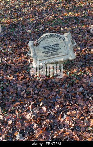 Grabstein inmitten Herbstlaub innerhalb von Str. Marys Kirchhof, Shincliffe Dorf, County Durham, England, UK Stockfoto