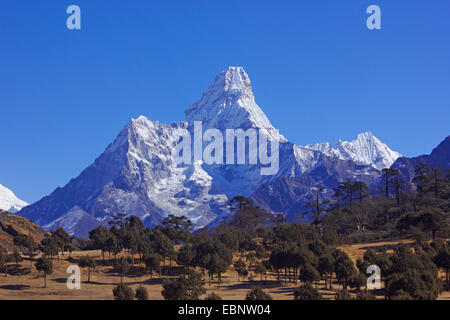 Ama Dablam, Blick vom Wanderweg zwischen Namche Bazar und Khunde, Nepal, Himalaya, Khumbu Himal Stockfoto