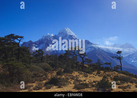 Thamserku, Blick vom Weg zwischen Namche Bazar und Khunde, Nepal, Himalaya, Khumbu Himal Stockfoto