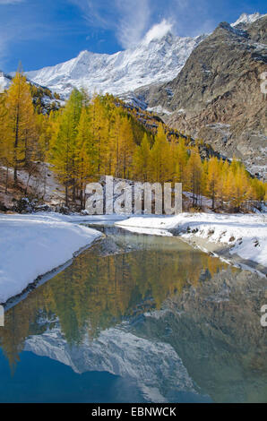 Saas Fee, Dom Mountain range Spiegelung in einer Schmelze Wasser Bucht des Feegletschers, Schweiz, Wallis Stockfoto