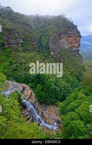 Bridal Veil Falls im subtropischen Regenwald der Blue Mountains, Australien, New South Wales, Leura Stockfoto