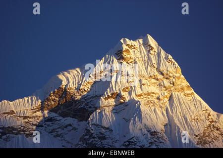 Blick vom Dingboche auf Ama Dablam im Abendlicht, Nepal, Himalaya, Khumbu Himal Stockfoto